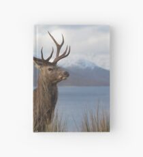 Red Deer Stag in Winter Hardcover Journal