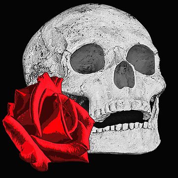 Skull design with a beautiful rose pattern, gothic skull, great gothic gifts  Poster by Kirei-Lily