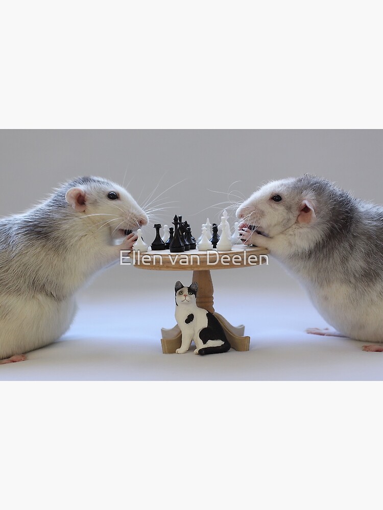 The real Chess Players :) by Ellen