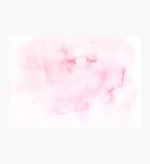 Lovely blush Photographic Print