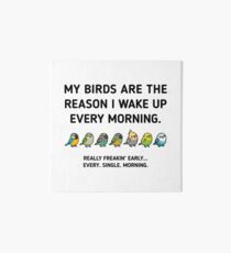 Morning Birds - Custom Art Board