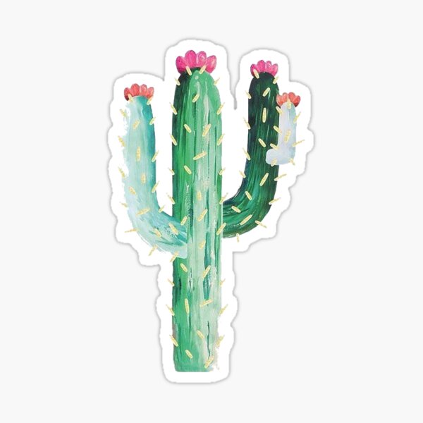 Cactus Stickers Redbubble