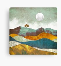 Night Fog Canvas Print