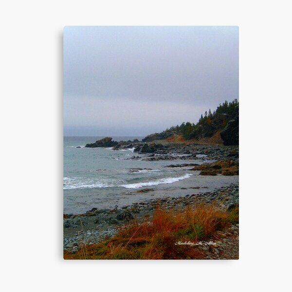 Kings Cove, Newfoundland Canvas Print