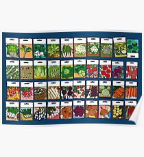 Vegetable seeds pattern Poster