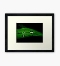 Precious Framed Print