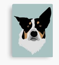 Beaker Canvas Print