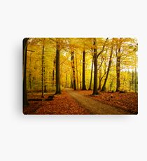 Autumn strikes Canvas Print