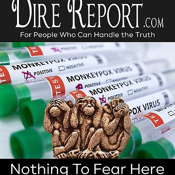 Artwork thumbnail, DIRE REPORT: Nothing To Fear Here by EyeMagined
