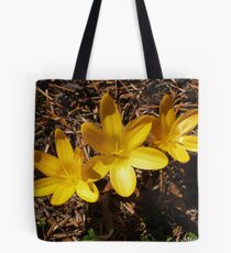 Pre-spring Crocus Tote Bag