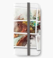 Fractal Photographs iPhone Wallet/Case/Skin