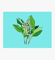 Lilly of the Valley Photographic Print