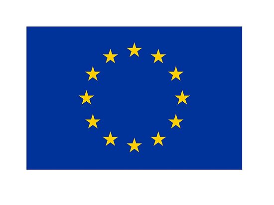 Image result for euro flag