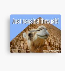 Just Passing Through Canvas Print