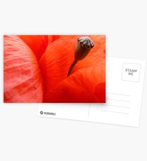Coquelicot Postcards