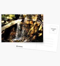Shadows on the Falls Postcards