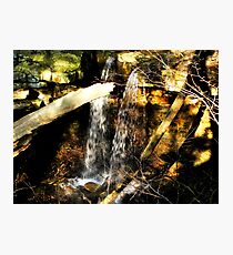 Shadows on the Falls Photographic Print