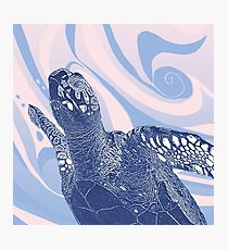 Unique Turtle Design Photographic Print