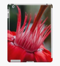 Flame iPad Case/Skin