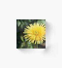 Yellow Gerbera Acrylic Block