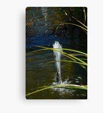 WHITE WATER Canvas Print