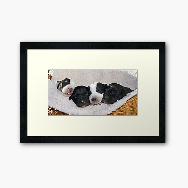 The Four Amigos. Framed Art Print