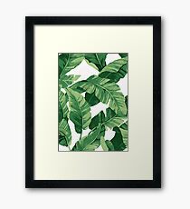 Tropical banana leaves II Framed Print