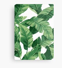 Tropical banana leaves II Metal Print