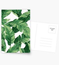 Tropical banana leaves II Postcards