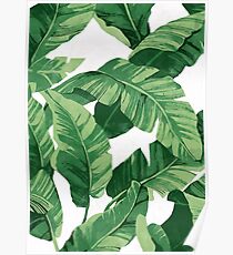 Póster Tropical banana leaves II