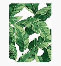 Lámina fotográfica Tropical banana leaves II