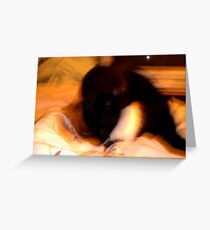 Dimensional Cat Greeting Card