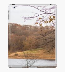 Landscape iPad Case/Skin