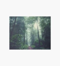 Forest Path Art Board