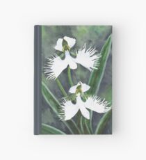 Weiße Reiher Orchideenblüten (Habenaria Radiata) Notizbuch