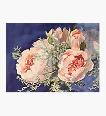 Blooming Peonies Photographic Print