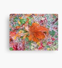 Foliage Freeze ! Canvas Print