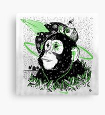 A Dream Away Canvas Print