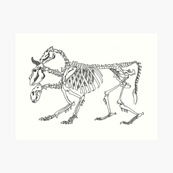 Chimera Skeleton Art Print