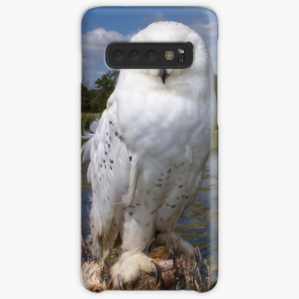 Owl with a view Case & Skin for Samsung Galaxy