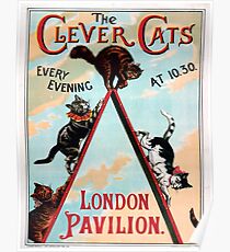 Clever Cats Poster