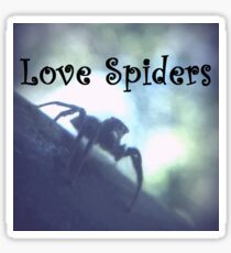 Love Spiders Sticker