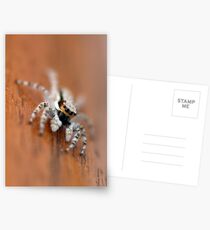 I only have eyes for you Postcards