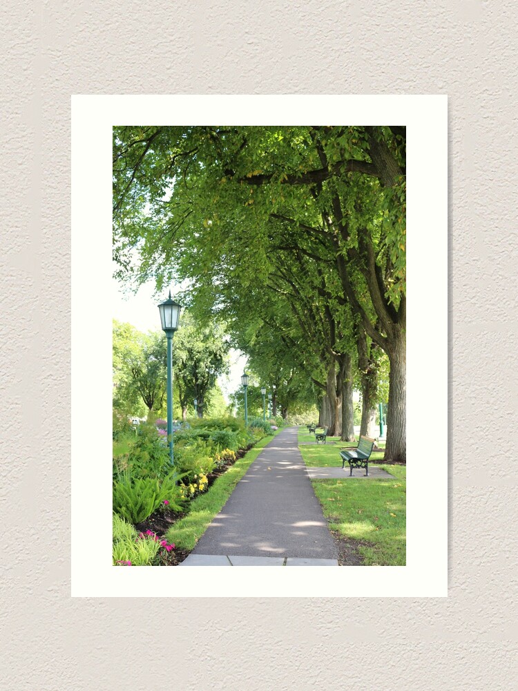 Alternate view of Summer walk Art Print