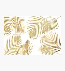 Goldpalmblätter auf Weiß Fotodruck