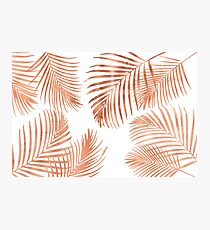 Rose Gold Palm Leaves Photographic Print