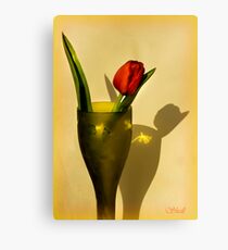 Wine! Canvas Print