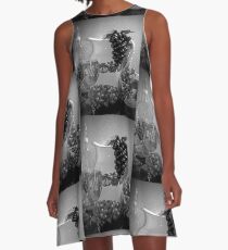 Pottery, Grapes and Wine (Black and White) A-Line Dress