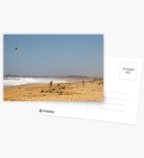 Go Fly A Kite Postcards