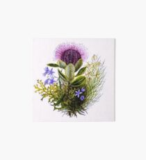 Thistle Wildflowers Art Board
